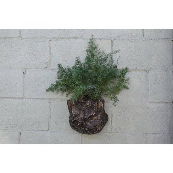 PEDRA MEDIA 1 FIBRART