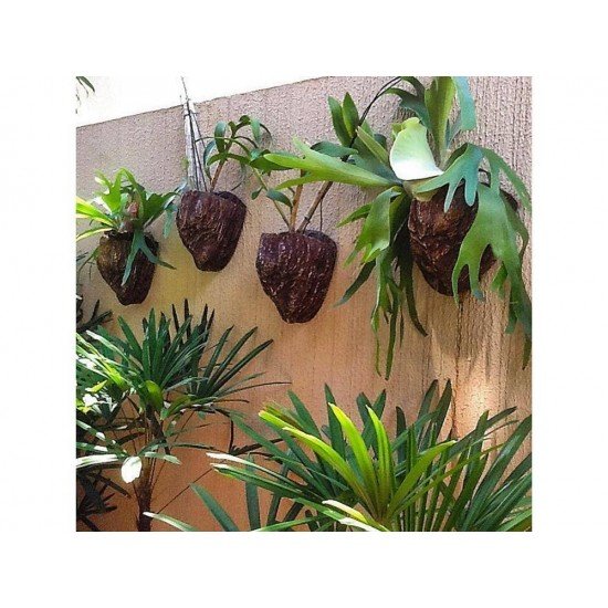 PEDRA MEDIA 1 FIBRART