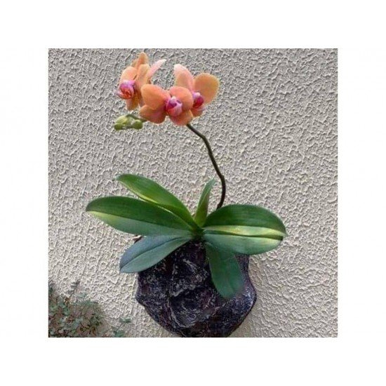 PEDRA MEDIA 1 FIBRART