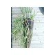MASCARA AFRICANA G PARA PLANTAR FIBRART
