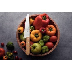 FACA PEIXEIRA E COZINHA TRAMONTINA COM LÂMINA EM AÇO CARBONO E CABO DE MADEIRA 5