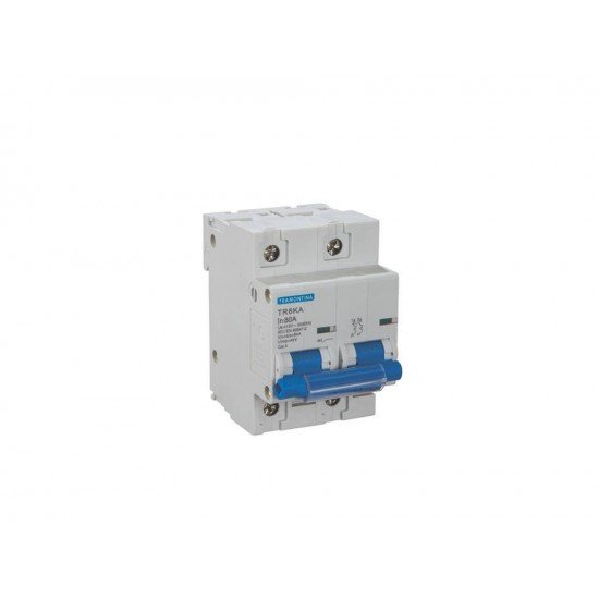 DISJUNTOR MODELO TR6KA 2 POLOS 125A CURVA C TERMOPLASTCO COMPONENTES METALICOS TRAMONTINA