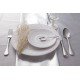 GARFO DE MESA CLASSIC EM ACO INOX TRAMONTINA