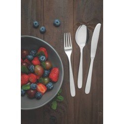 FAQUEIRO TRAMONTINA HAVAÍ EM AÇO INOX COM FACAS DE MESA ACABAMENTO EM BRILHO 24 PEÇAS