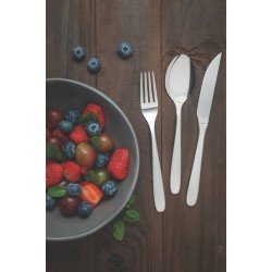 FAQUEIRO TRAMONTINA HAVAÍ EM AÇO INOX COM FACAS PARA CHURRASCO ACABAMENTO EM BRILHO 24 PEÇAS