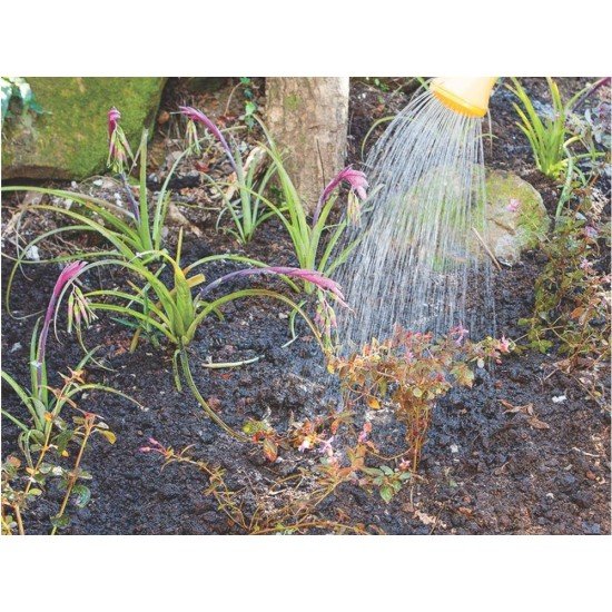 REGADOR PLASTICO PARA JARDIM 7 LITROS AZUL TRAMONTINA