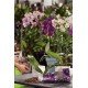 MIX ORQUIDEA PREMIUM EXP 1KG TRAMONTINA