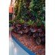 CASCA PINUS G 1KG TRAMONTINA