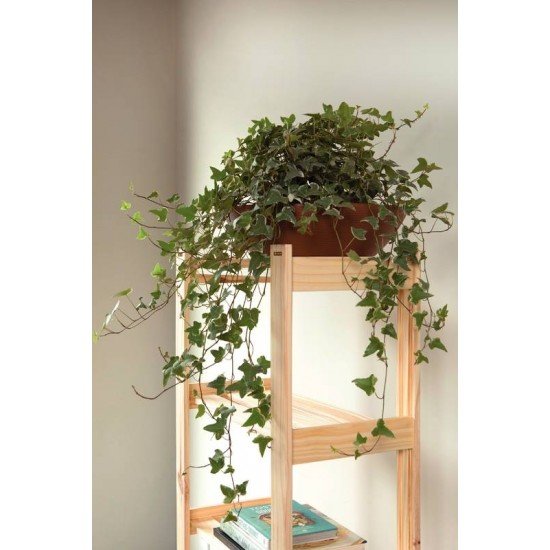 ESTANTE MODULARE 900 02 PRATELEIRAS TRAMONTINA