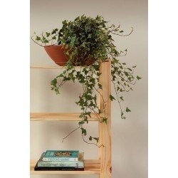 ESTANTE MODULARE 900 06 PRATELEIRAS TRAMONTINA