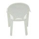 CADEIRA PLASTICA MONOBLOCO COM BRACOS INFANTIL CATTY BRANCA COM DECORACAO IN MOLD