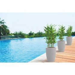 VASO PLASTICO THAI 58 CM MARRON