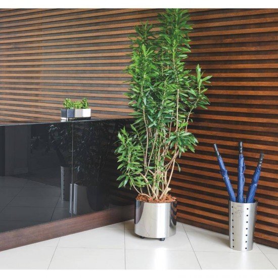 PORTA GUARDA-CHUVA TRAMONTINA ACO INOX ACABAMENTO SCOTCH BRITE RECIPIENTE INTERNO POLIPROPILENO 20L