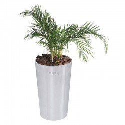 CACHEPO TRAMONTINA EM ACO INOX COM ACABAMENTO SCOTCH BRITE 20KG